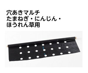 y11/1z |Cgő20{ő400~N[|zzbʂ˂}`7 J}eA 0.02mm×1350mm×50m