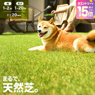 [10%クーポン＋エントリーで19日から最大P15倍] 人工芝 ロール ドッグランに最適 2m×10m 芝丈20mm 人工…