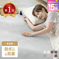 [エントリーで19日から最大P15倍] 楽天1位 ラグ 防ダニ 抗菌 カーペット 洗える ラグマット おしゃれ 絨…