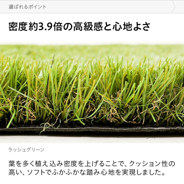 楽天市場】[P5倍 本日 12時〜] 5葉ミックス リアル人工芝 ロール 2m 