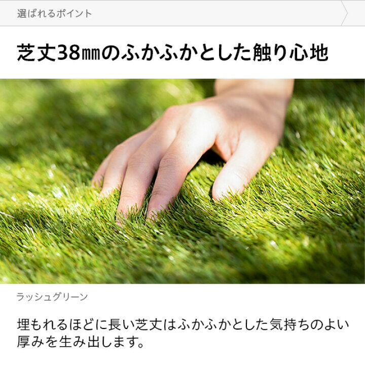 楽天市場】5葉ミックス リアル人工芝 ロール 2m×10m 送料無料 芝生 ガーデンターフ マット シート U字ピン付き ガーデニング DIY リフォーム 模様替え リノベーション エクステリア 庭 ベランダ テラス バルコニー : モダンデコ 楽天市場】5葉ミックス リアル人工芝 ロール 2m×10m 送料無料 芝生 ガーデンターフ マット シート U字ピン付き ガーデニング DIY リフォーム 模様替え リノベーション エクステリア 庭 ベランダ テラス バルコニー : モダンデコ
