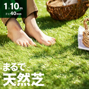 [SiP5{^10܂] lH [ 1m×10m x24{ ŏ40mm lH Ő}bg lHŐ lHŃ}bg lHŃ[ Ő [^Cv  x_ eX oRj[ K[fjO 