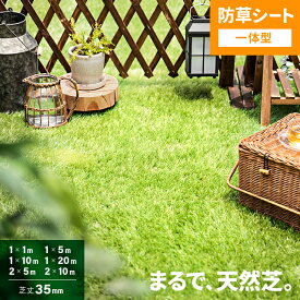 人工芝 ロール 2m×10m 防草シート一体型 芝丈35mm 芝生マット 人工芝生 人工芝ロール 芝生 ロールタイプ 固定ピン 庭 ベランダ テラス バルコニー ガーデニング 屋上緑化 u字ピン 水はけ 人口芝