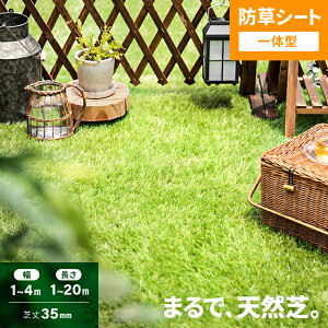 [N[|6%OFF^XP5{] [o] lH [ 2m×10m hV[ǧ^ ŏ35mm Ő}bg lHŐ lHŃ[ Ő [^Cv Œs  x_ eX oRj[ K[f