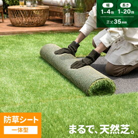 [クーポンで10%OFF] 人工芝 2m×10m 防草シート一体型 芝丈35mm 1m×1m〜4m×10m 1m 2m 3m 4m 芝 芝生マット 人工芝生 ロール 人工芝ロール 芝生 ロールタイプ 固定ピン 庭 ベランダ テラス バルコニー ガーデニング u字ピン 水はけ 人口芝