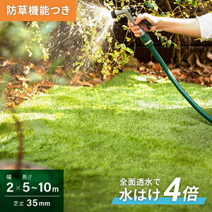 [N[|6%OFF^XP5{] lH [ 2m×5m 2m×10m ŏ35mm h^Cv [^Cv Ő}bg lHŐ lHŃ[ Ő hdl lH  Œs  x_ eX oRj[ K