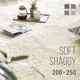 [本日もれなく全品P5倍] [シリーズ累計26万枚突破] ラグ シャギーラグ 送料無料 rug 200×250 250×200 マイクロファイバーシャギー 北欧 Z4糸 ラグマット シャギー 滑り止め カーペット グリーン 洗える ホットカーペット 冬用 夏用
