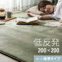 [本日12時〜P5倍] [シリーズ累計26万枚突破] ラグ 北欧 低反発 200×200 ラグマット おしゃれ rug 低反発ラグ 滑り止め 極厚 防音 極厚25mm 防音マット ホットカーペット ラグ カーペット シャギーラグ モダン 北欧 洗濯可 洗える 冬用 夏用 防音
