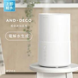 [P5倍 4/26 20時～] 電解水で除菌率99.9％ 超音波加湿器 電解水自動生成 [1年保証] 加湿器 ウイルス対策 卓上 オフィス 上から給水 おしゃれ 上部給水式加湿器 上部給水型 超音波式加湿器 大容量 コンパクト 節電 モダンデコ