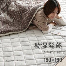 [クーポンで5%OFF] ラグ ラグマット 洗える 190×190 2畳 正方形 カーペット 絨毯 マット あったか リビング 抗菌 防臭 家族 冬物 床暖房対応 こたつ 敷布団 こたつ敷き布団 こたつ用敷きパッド おしゃれ ブラウン グレー 北欧