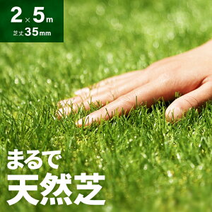 【もれなくP5倍★本日20:00〜23:59】 人工芝 ロール 2m×5m 芝丈35mm 送料無料 人工芝 芝生マット 人工芝生 人工芝マット 人工芝ロール 芝生 ロールタイプ 固定ピン 庭 ベランダ テラス バルコニー ガーデニング ガーデン 屋上緑化 u字ピン 水はけ