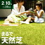 【もれなくP5倍★本日12:00〜23:59】 人工芝 ロール 2m×10m 芝丈35mm 送料無料 人工芝 芝生マット 人工芝生 人工芝マット 人工芝ロール ...