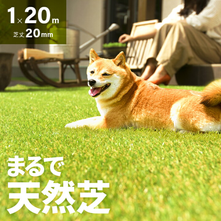 楽天市場】[P5倍 12/18 12時〜] 人工芝 ロール ピン 1m×20m 人口芝 芝  