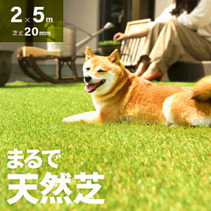 人工芝 ロール・2m×5m」の人気商品一覧 | 安い商品を通販サイトから 