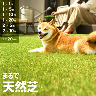 [クーポンで10%OFF] 人工芝 ロール ドッグランに最適 2m×10m 芝丈20mm 送料無料 人工芝 芝生マット 人工…