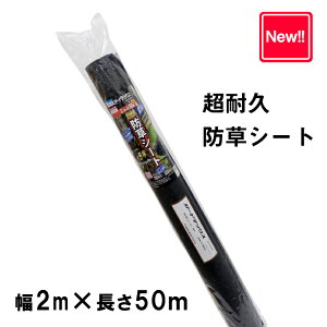 hV[gK[hebNXMKB2m×50m[J[i