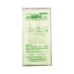 ˂͂V[g20[А쏊K[fjO|pi