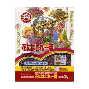 Ԃɂ͂400GK[fjO|piƒ؉엿