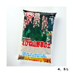 тˎR쑐̓y4D5L|piEK[fjOpi