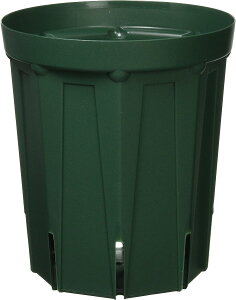 �X���b�g��JAN�tCSM-150L���X�O���[����o
