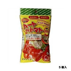 n[g̃g}g~jp5tHXg|piEK[fjOpig}g͔|