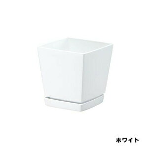 NG`[|bgv[gt5zCgavX`bN|piEK[fjOpi