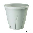 根はり鉢5号ホワイト大和プラスチック園芸用品・ガーデニング用品