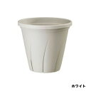 根はり鉢6号ホワイト大和プラスチック園芸用品・ガーデニング用品