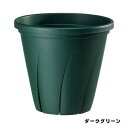 根はり鉢 6号 ダークグリーン 大和プラスチック 園芸用品・ガーデニング用品