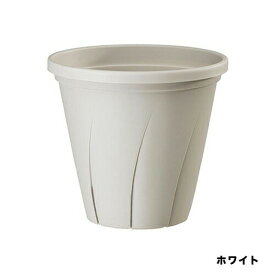 根はり鉢8号ホワイト大和プラスチック園芸用品・ガーデニング用品