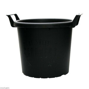 OERei30^ubNavX`bNK[fjO|piƒ؉v^[