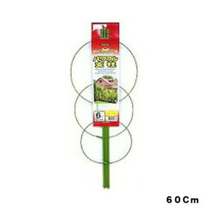 ptx660CMnӑ׉|piEK[fjOpi