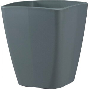 AgGXNGA250^_[NO[AbvEFA[I[uKW}