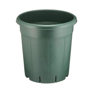 バラ鉢10号グリーンアップルウェアー植木鉢プランターバラローズガーデン