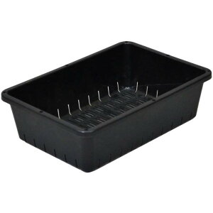 cRei[6^ubNAbvEFA[K[fjOpi|piƒ؉