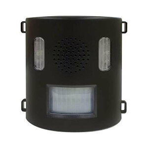 QbފAjoNIJ|ANB21CeWpK[fjO|piƒ؉Qb΍