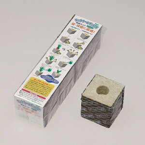 avX`bNbNE[|bg754P|piEƒ؉