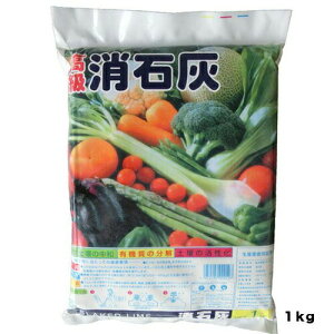 ΊD1KGAOA|piEK[fjOpi엿