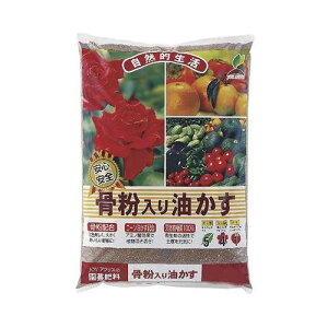 1KGJOYAOX|piEK[fjOpi