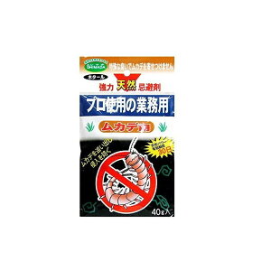 vgp Jf̓VR 40g SHIMADA |pi K[fjO ƒ؉