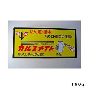 JXCg150GxmiHƉ|piEK[fjOpi