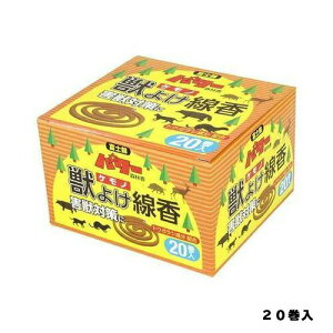 p[Xэb悯20ʌZ폤|piEK[fjOpi
