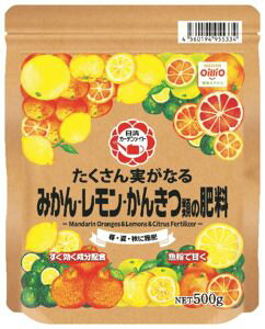 ������������Ȃ�݂���E�����E���񂫂ނ̔엿�@500g�@���������@�ƒ�؉��@���|