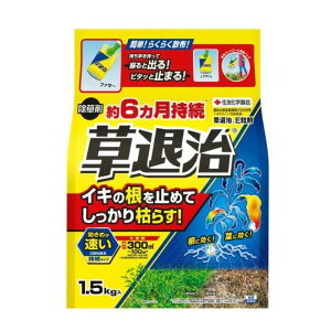 ގE 1.5kg ZFw|