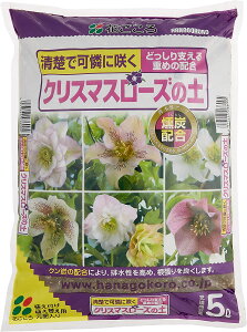 NX}X[Y̓y5LԂ뉀|piEK[fjOpi