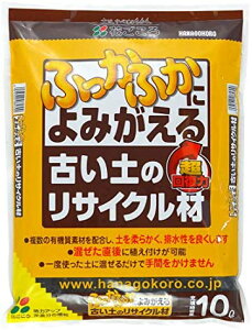 ÂỹTCN10LԂ뉀|piEK[fjOpi