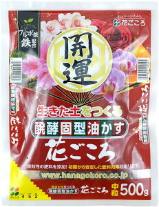 Ԃ뒆500GԂ뉀|piEK[fjOpi