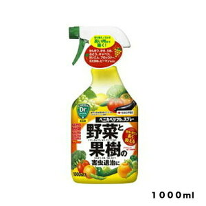 xjJxWtXv[1000ml ZFw||piEK[fjOpiXv[엿