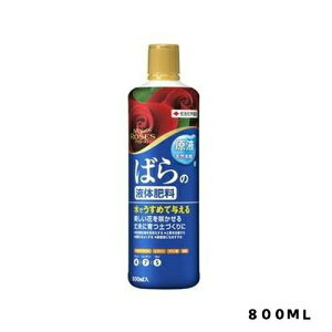 }C[Y΂̉t̔엿800mlZFw||piEK[fjOpi