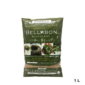 x{TLg1LtWbN|piEK[fjOpiV̎`bv